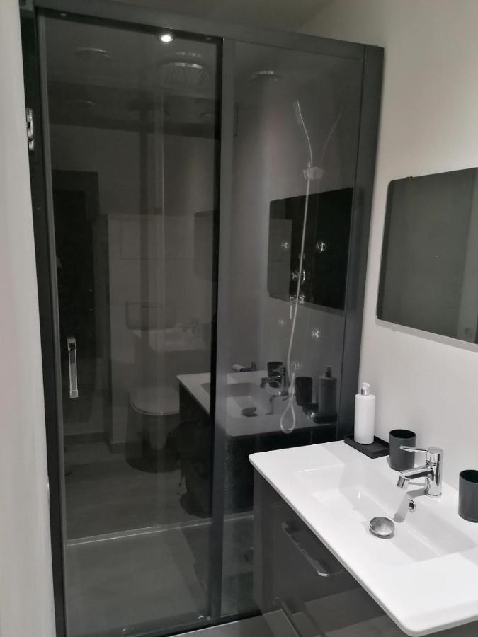 Petit Nid Douillet Apartment Reventin-Vaugris Exterior photo